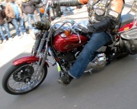 DSC_8687.JPG