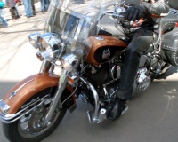 DSC_8691.JPG