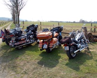 DSC_9041.JPG