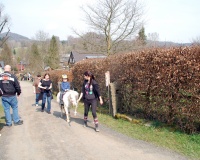 DSC_9044.JPG
