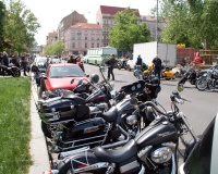 DSC_0172.JPG