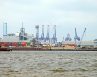 DSC_1195.JPG