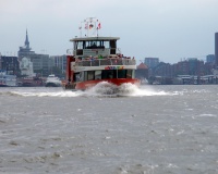 DSC_1197.JPG