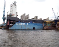 DSC_1298.JPG