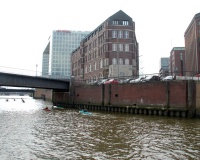 DSC_1341.JPG