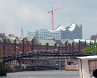 DSC_1345.JPG