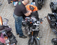 DSC_3614.JPG
