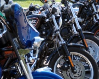 DSC_4285.JPG