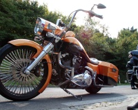 DSC_5869.JPG
