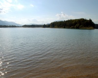 DSC_5892.JPG