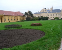 DSC_4128.JPG