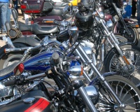 DSC_0123.JPG