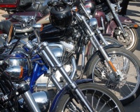 DSC_0130.JPG