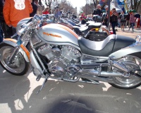 DSC_0237.JPG