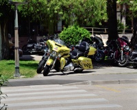 DSC_3707.JPG