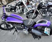 DSC_3766.JPG