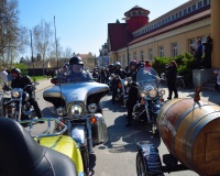 DSC_1595.JPG