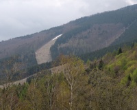 DSC_2499.JPG