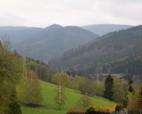 DSC_2500.JPG