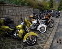 DSC_2503.JPG