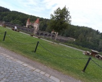 100_0107.JPG